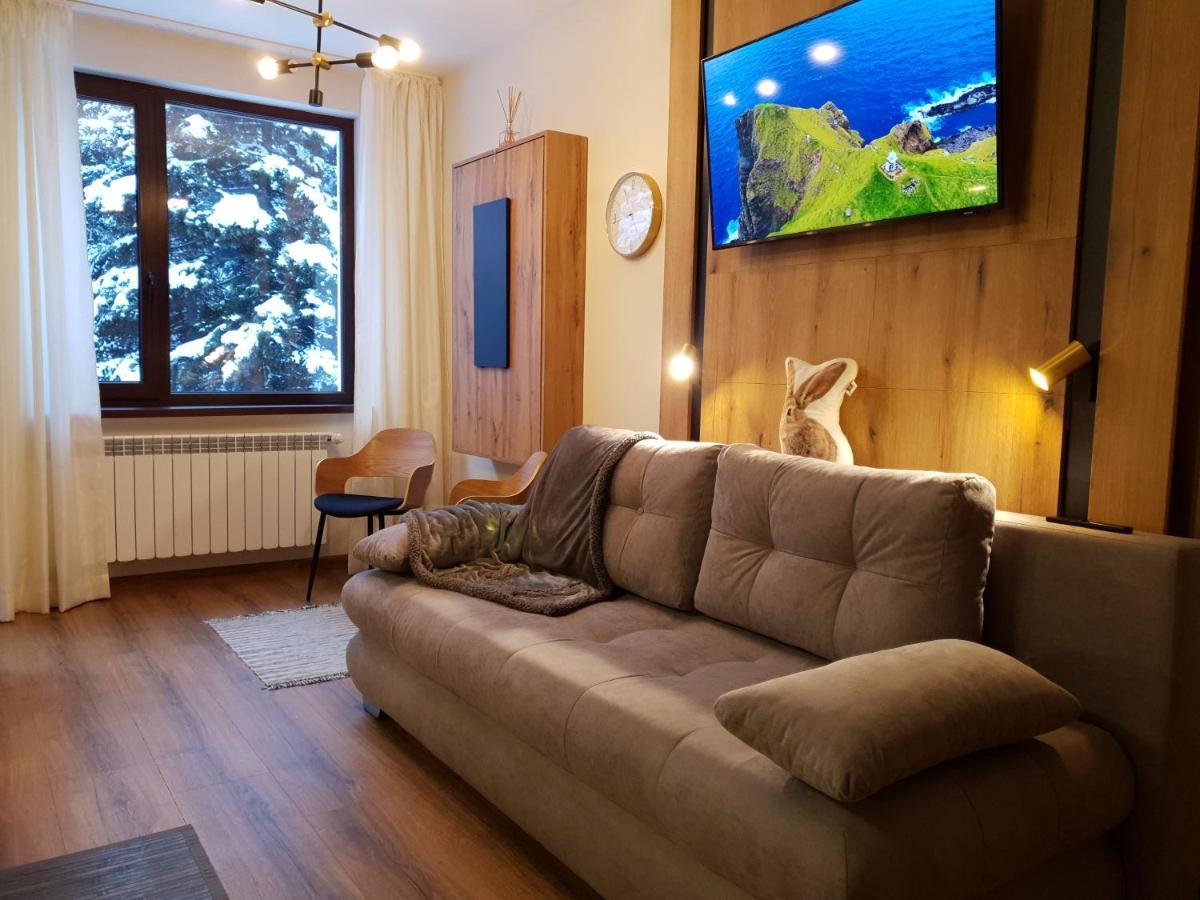 Pinewood Ang Luxurious Apartment A32 Боровец Екстер'єр фото